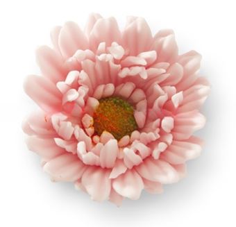 Picture of GERBERA 6CM EDIBLE HAND MADE F